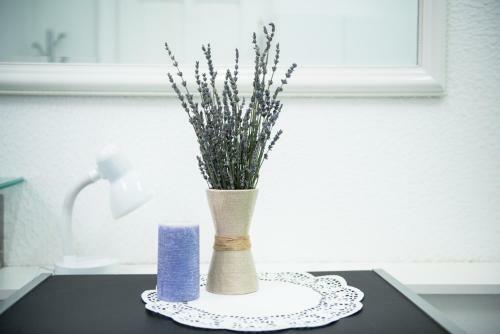Apartments Trubar