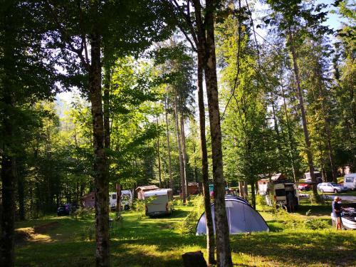 Kamp Alpe Kamni?ka Bistrica