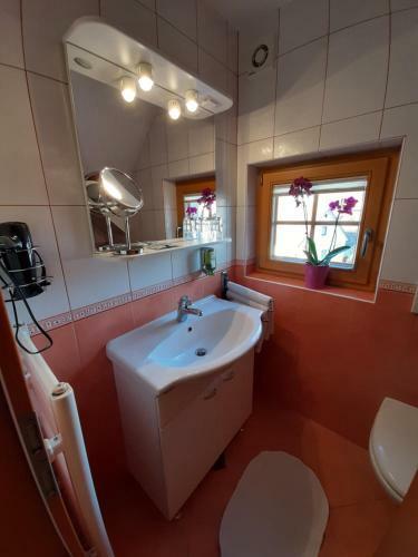 Turizem Loka Bed And Breakfast