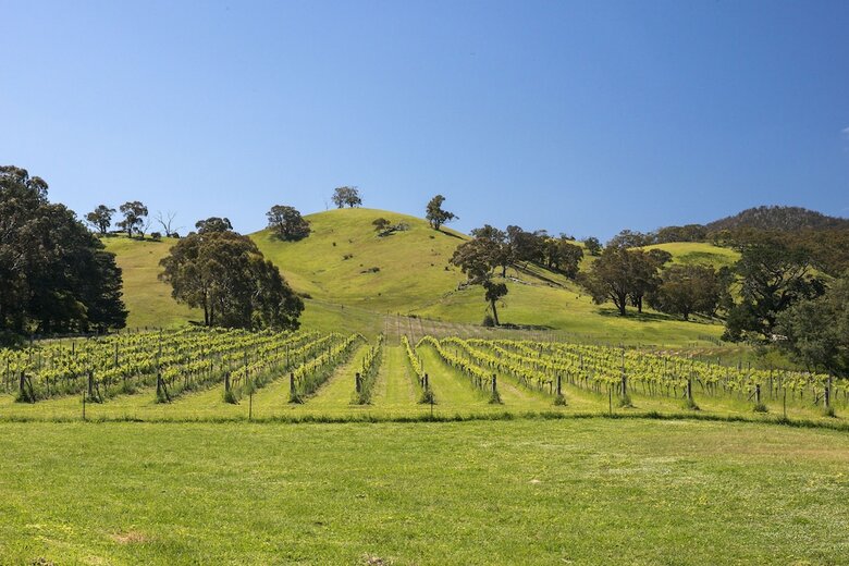 Agroturismo Blue House At Mountainside Wines