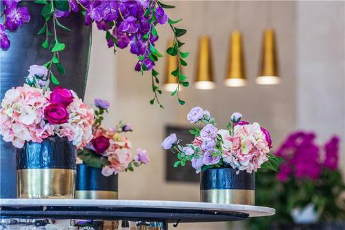 Hotel Howard Johnson New District Plaza Ziyang