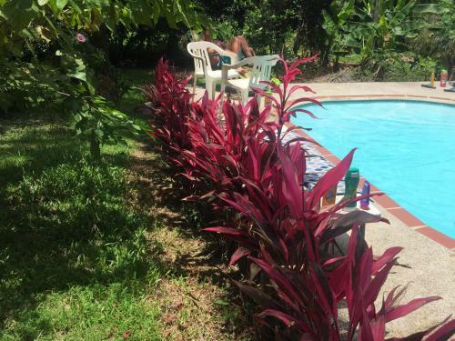 Agroturismo Casa Los Limones