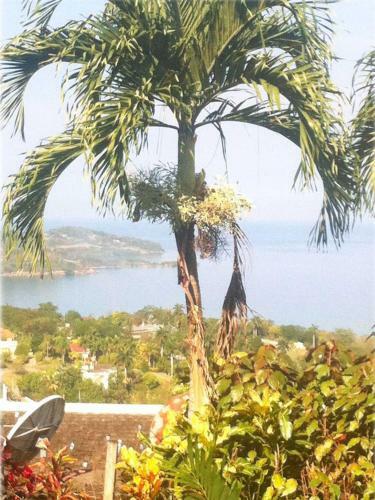 Apartamento My-places Montego Bay Vacation Home
