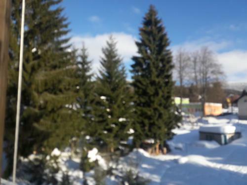 Apartm�n Luto