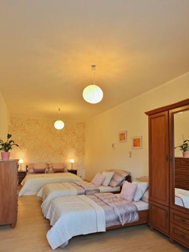 Apartm�ny Bran�?kov
