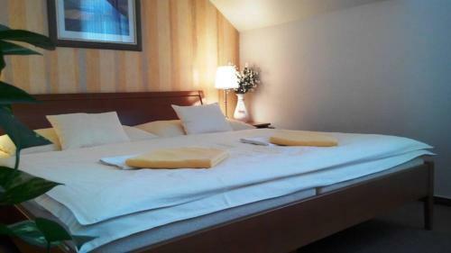 Hostal Pension U Labe