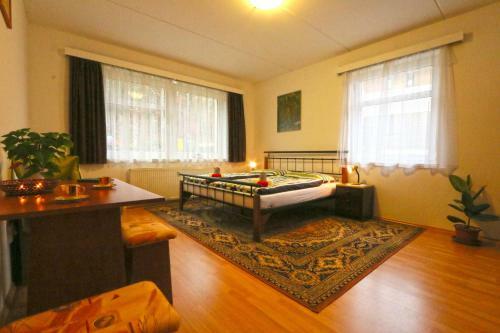 Ski Apartment