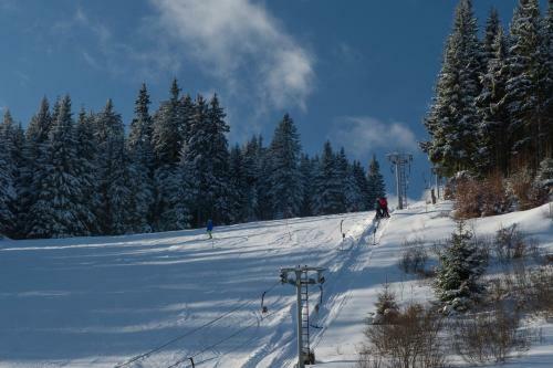 Hostal Penzion Skiland Pet?�kov