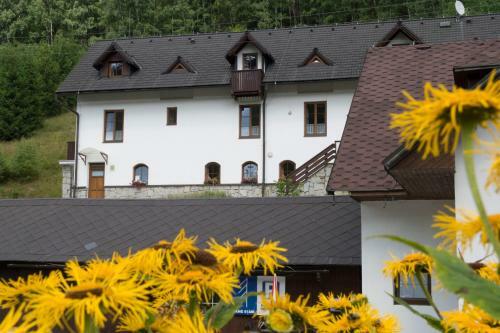 Hostal Penzion Skiland Pet?�kov