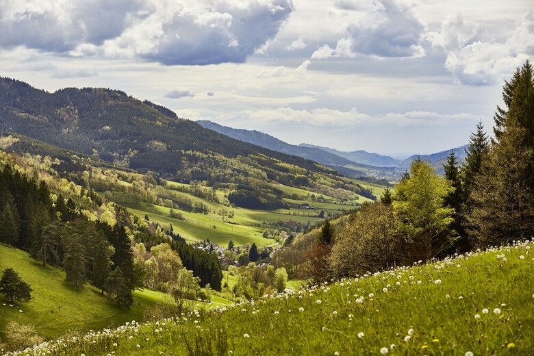 Elzland Hotel Pfauen