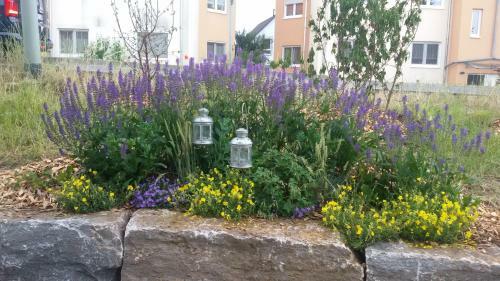Apartamento Ferienwohnung Zum H�rnauer See