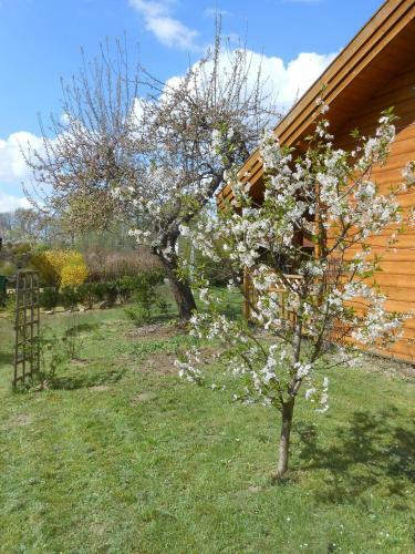 Ferienhaus Hensel