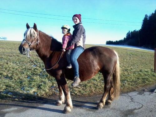 Apartamento Am Neuhausbauernhof