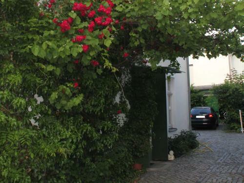 Apartamento Haus Gooren