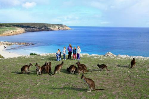 Villa Waves & Wildlife Cottages Kangaroo Island