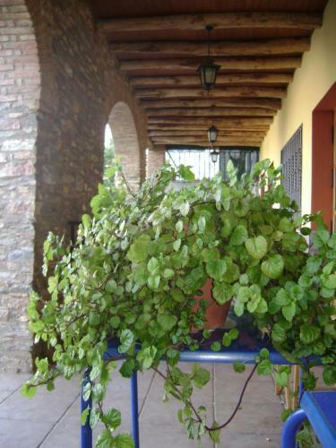 Agroturismo La Casa Del Cura