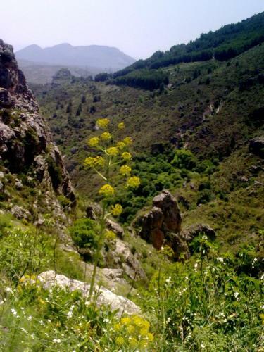 Hostal Balc�n Del Velillos-"rinc�n De Marcelo"