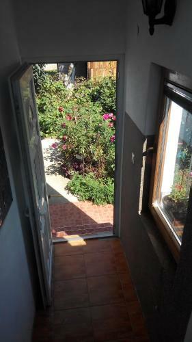 Apartment Mehi