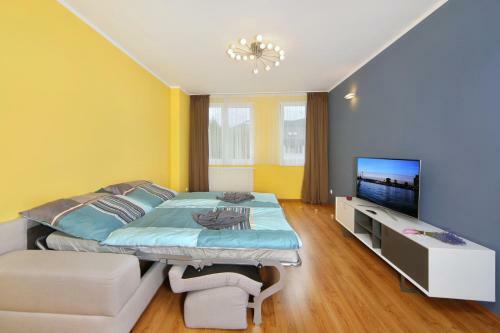 Apartment 91/65 ?pindler?v Ml�n