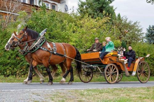 Agroturismo Bayerwald-ferienhof Schmid