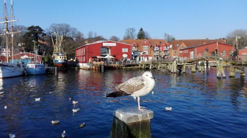 Apartamento Ferienhof Am Wittensee