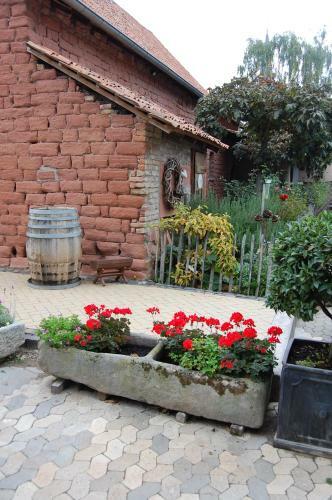 Hostal Heinrichs Winery Bed & Breakfast