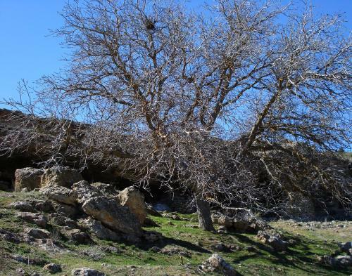 Casas Rurales Campolibre