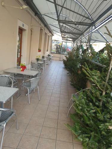 Hotel De France