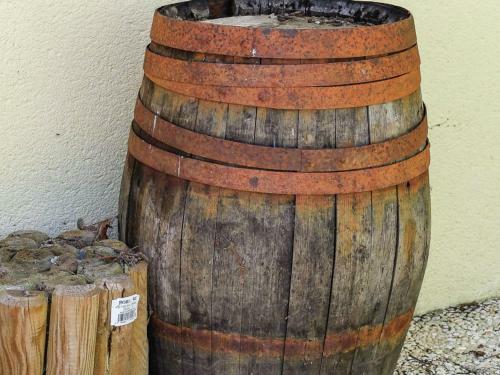 Cozy Cottage In Bussiere-galant With Terrace