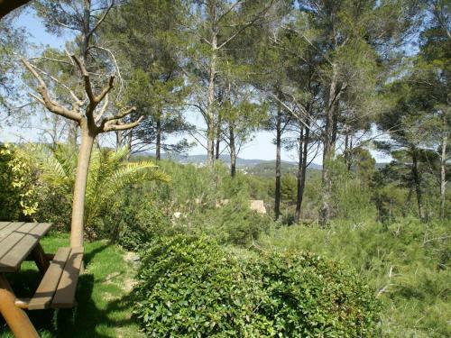 Spacious Holiday Home In Draguignan With Large Pool