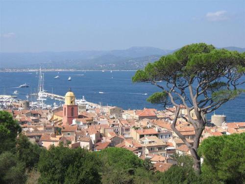 Sprawling Mansion In Frejus With Swimming Pool