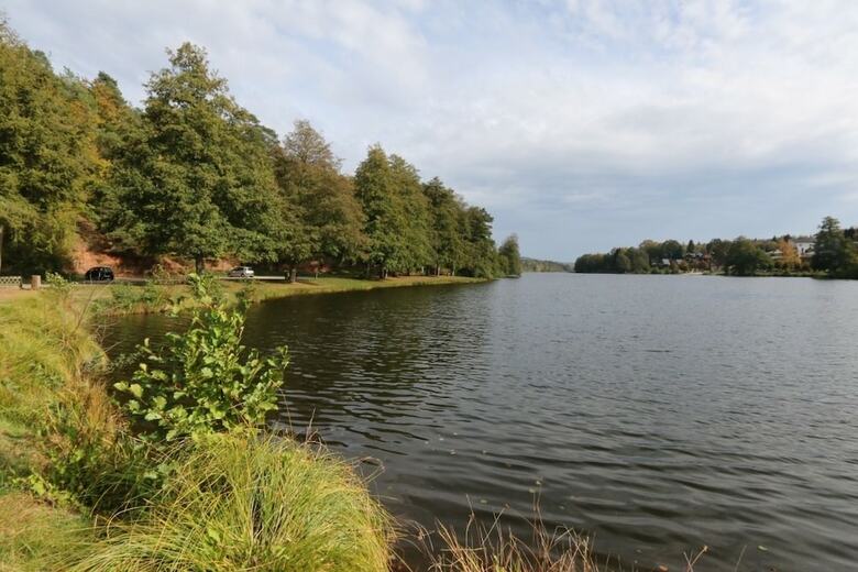 Les Amis Du Lac