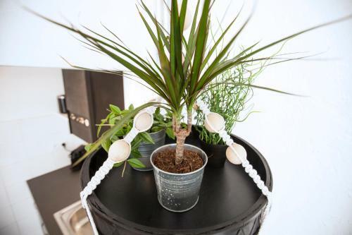Apartamento Colombet Stay's - La Mediterranee