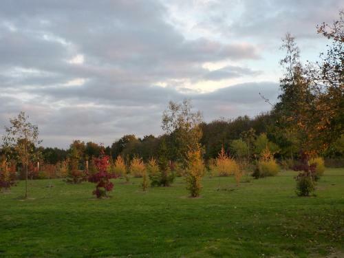 Bed & Breakfast La Serpauderie