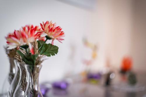 Apartamento Strasbourg - Cosy Contades