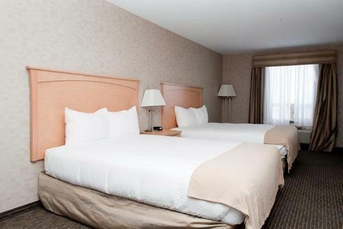 Hotel Paradise Inn And Suites
