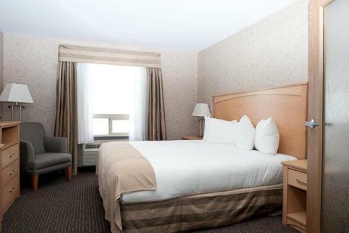 Hotel Paradise Inn And Suites