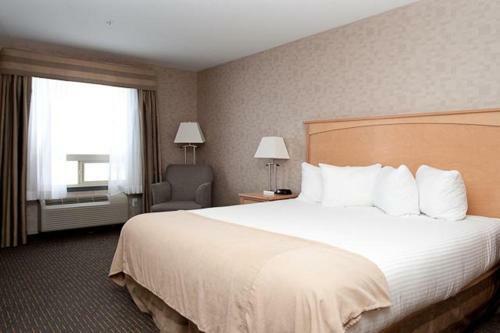 Hotel Paradise Inn And Suites