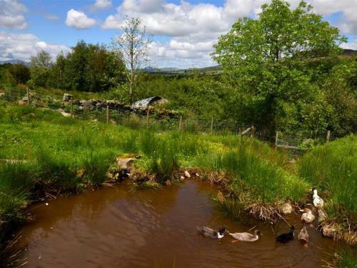 Holiday Home Ganllwyd