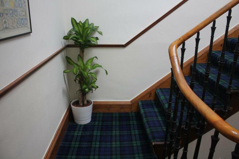 Hostal Airdenair Guest House