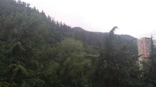 Hostal Guesthouse Malkhaz