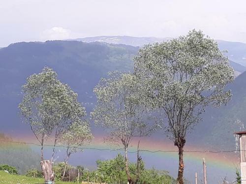 Hostal Guest House Karati