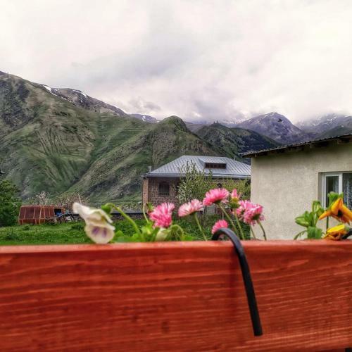 Hostal Guest House Elguja Qushashvili