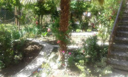Apartamento Centr