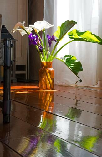 Painter's Country House
