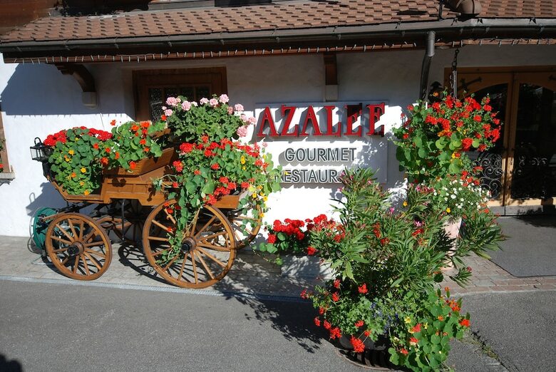 Hotel Alpenrose