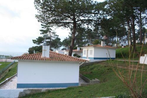 Campimeco By Campigir