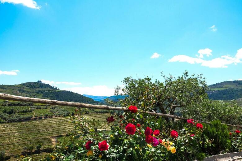 Hotel Rural Da Quinta Do Silval