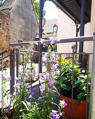 Apartamento Alte Backstube - Ferienwohnung & Appartement