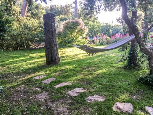 Villa De Charme En Provence-lub�ron